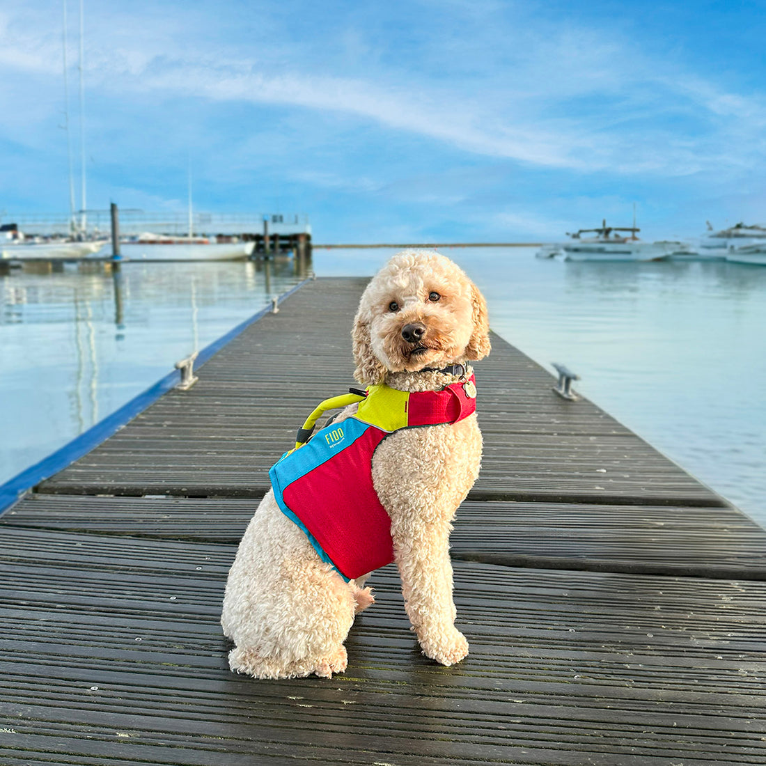 Spinlock Fido Hundflytväst 