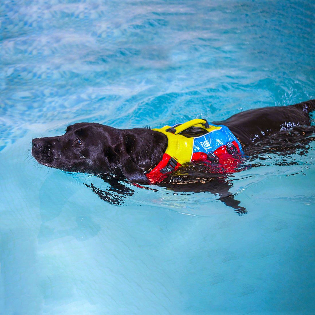 Spinlock Fido Hundflytväst 