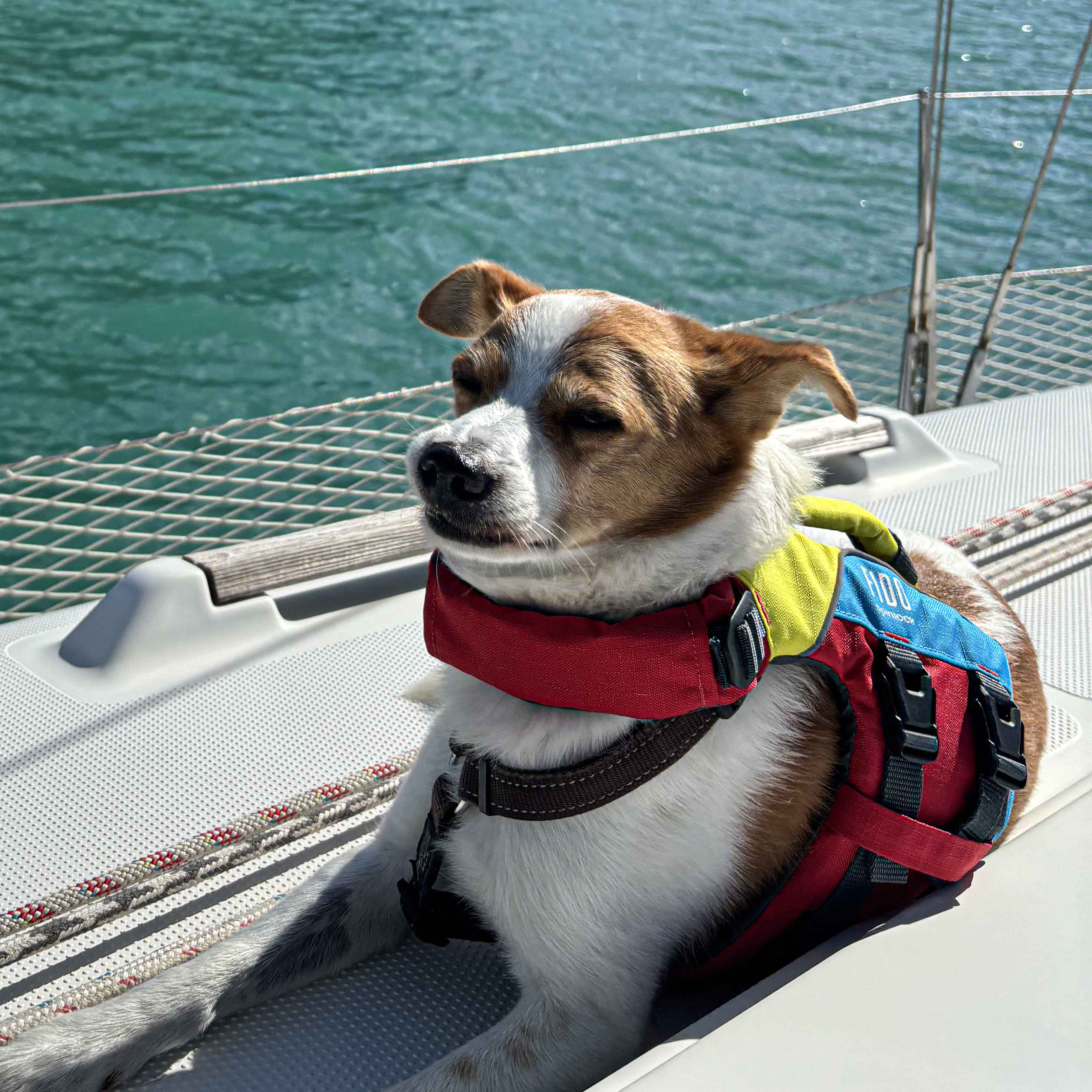 Spinlock Fido Hundflytväst 