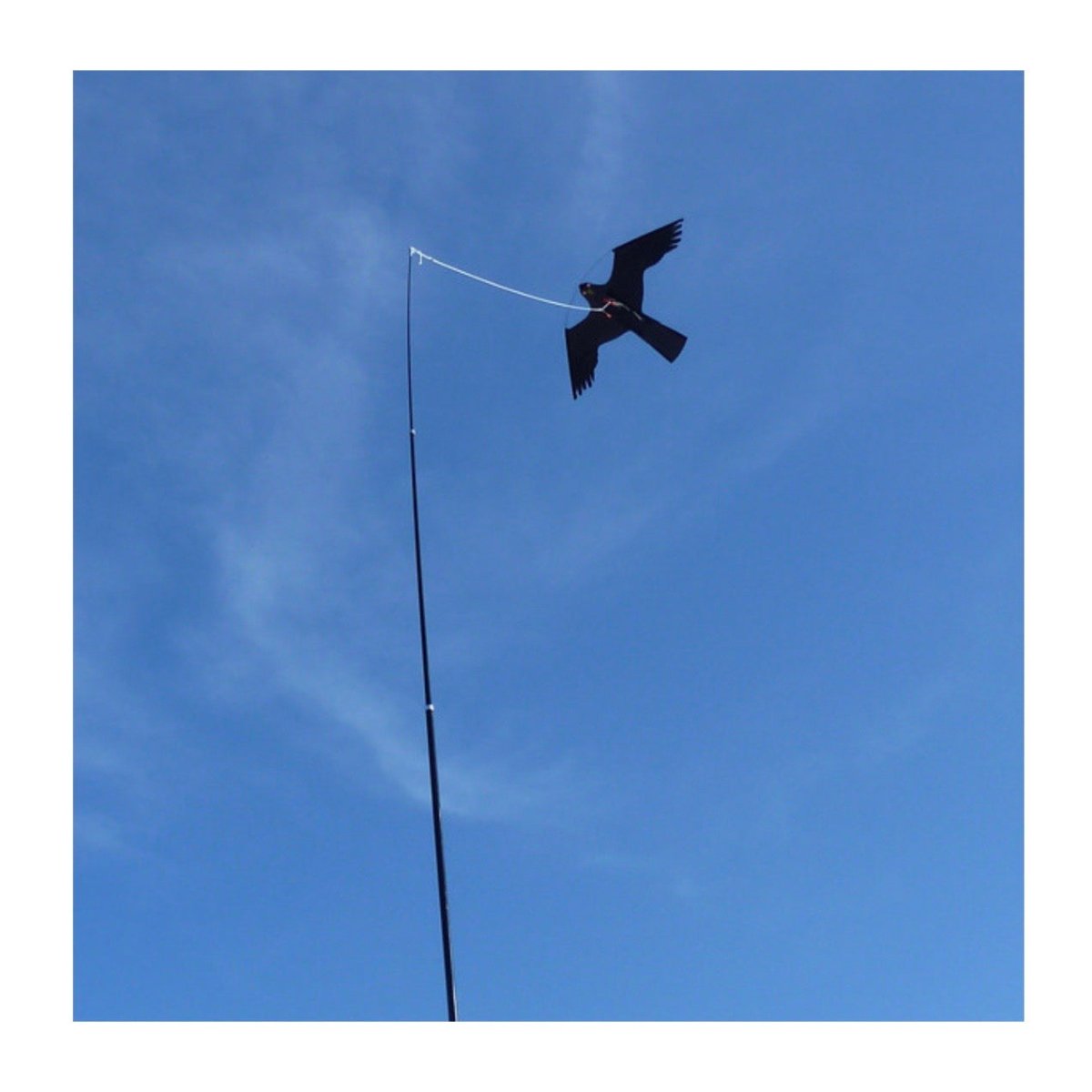 Fågelskrämma drake med 6m glasfiberspröt + 5m lina